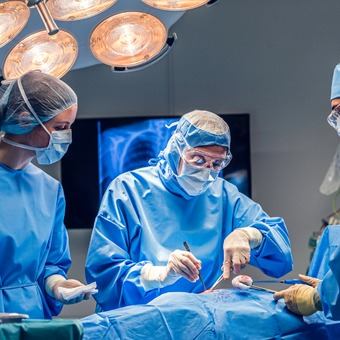 whatsapp image 2026 02 07 at 4.19.25 pm